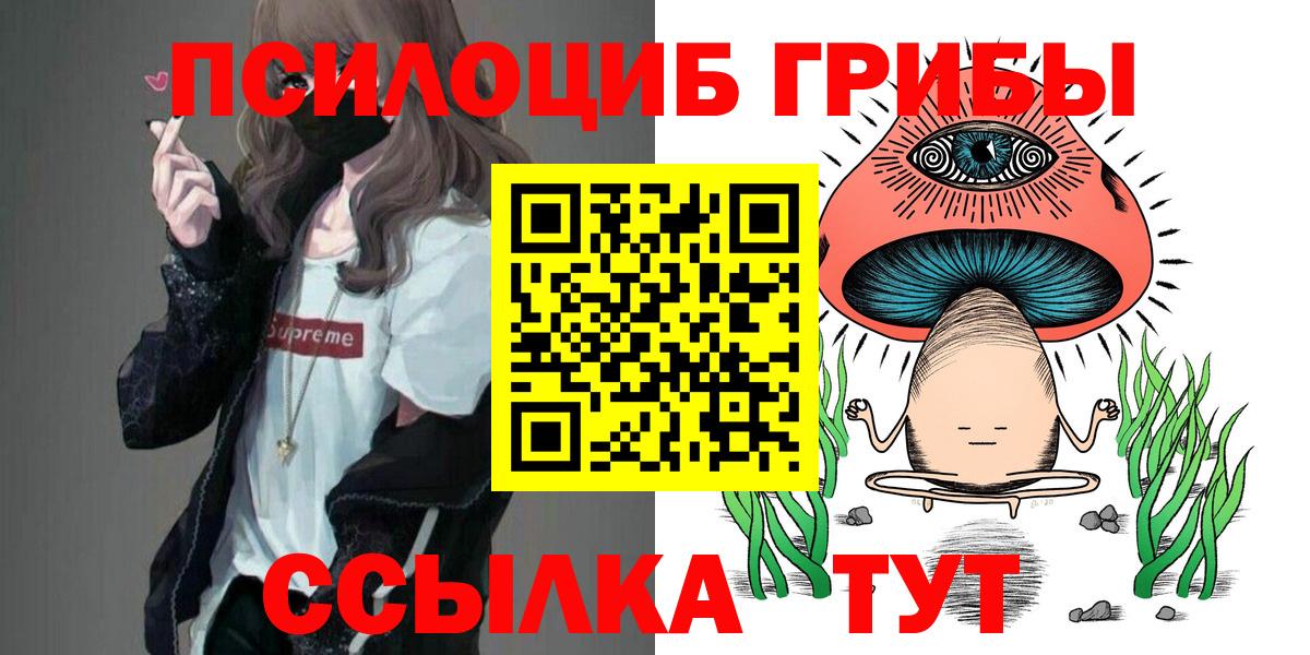Псилоцибиновые грибы прущие грибы Славгород